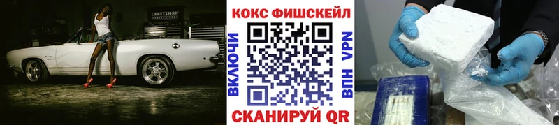 COCAIN FishScale  Купить закладки  Уссурийск 