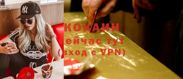 шишки Вязники