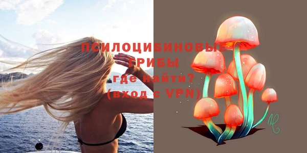 шишки Вязники