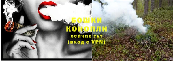 шишки Вязники