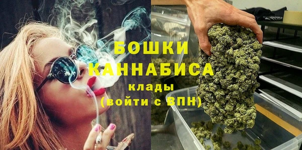spice Вяземский
