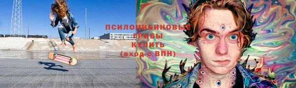 шишки Вязники